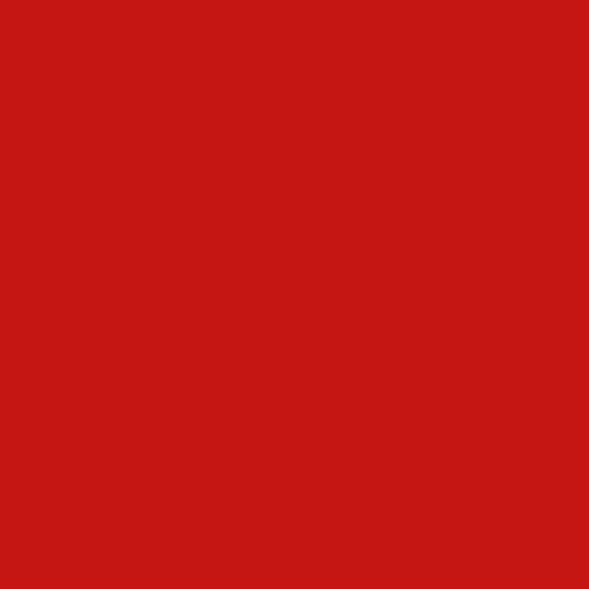 Siser EasyWeed - Red