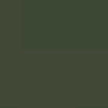 Specialty Materials ThermoFlex Plus - Olive Drab