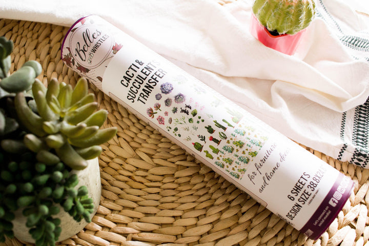 Dixie Belle Transfer - Cacti & Succulent - Create With 614