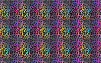 19" x 12" Pattern Acrylic Rainbow Cheetah | Create With 614