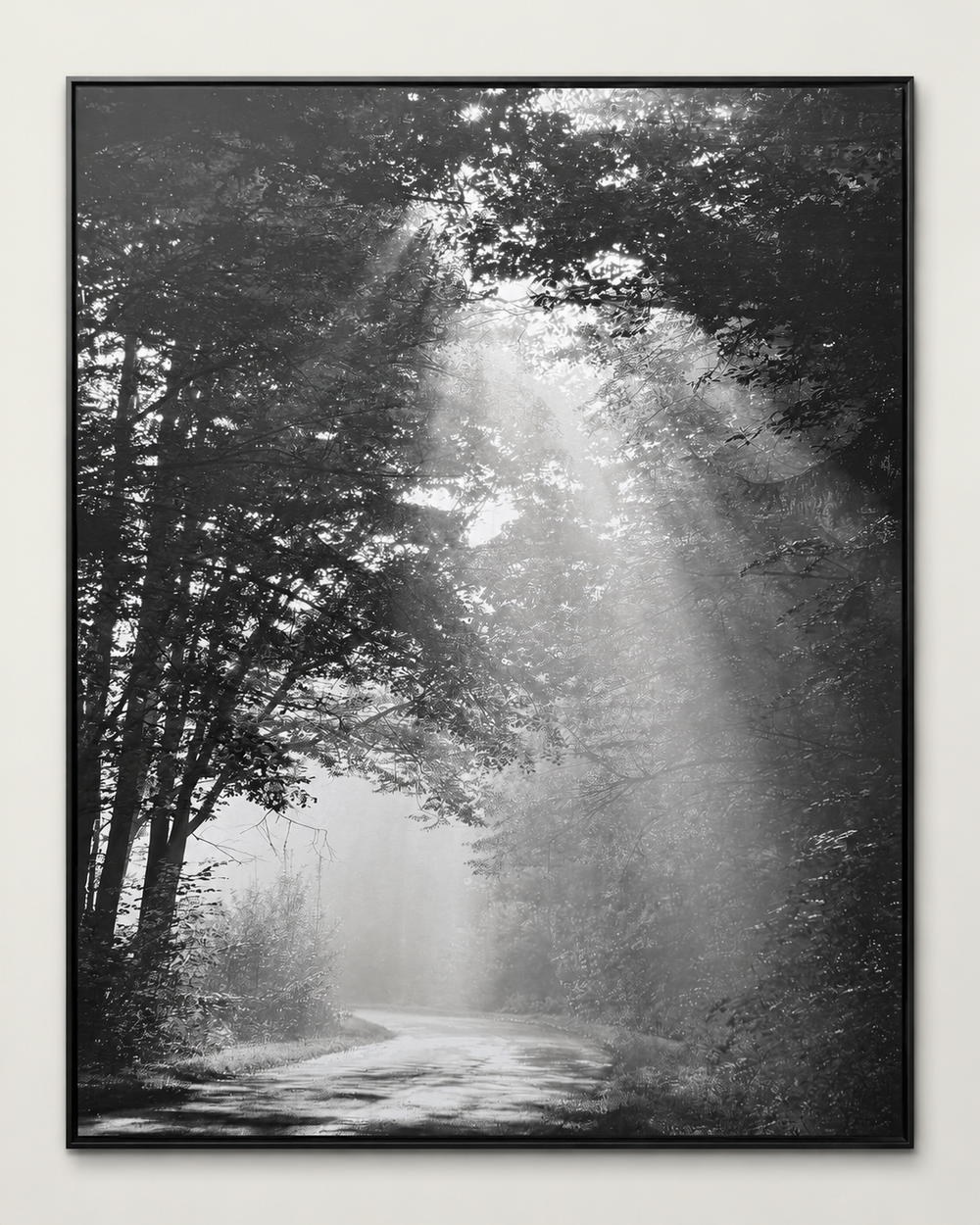 Detail view of the sunbeam forest photograph