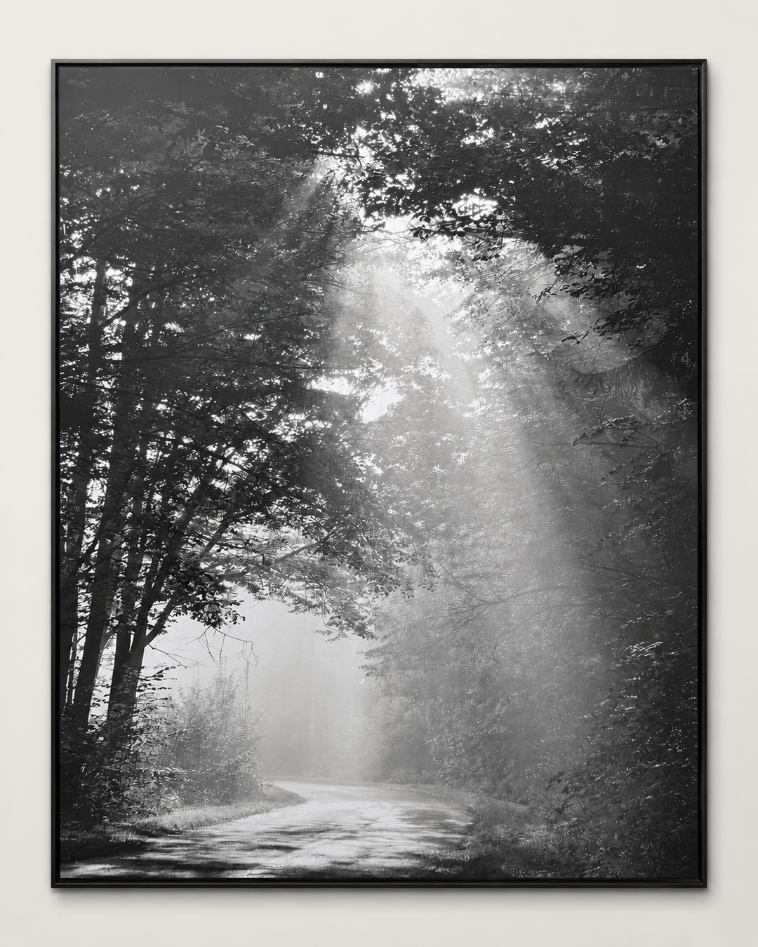 Detail view of the sunbeam forest photograph