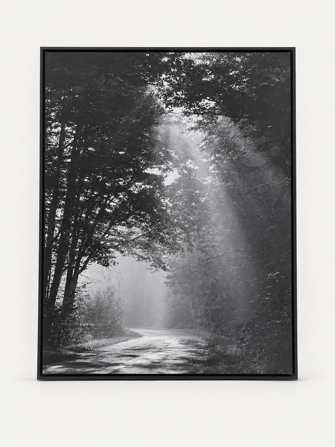 Sunbeam forest black and white photograph in a black frame