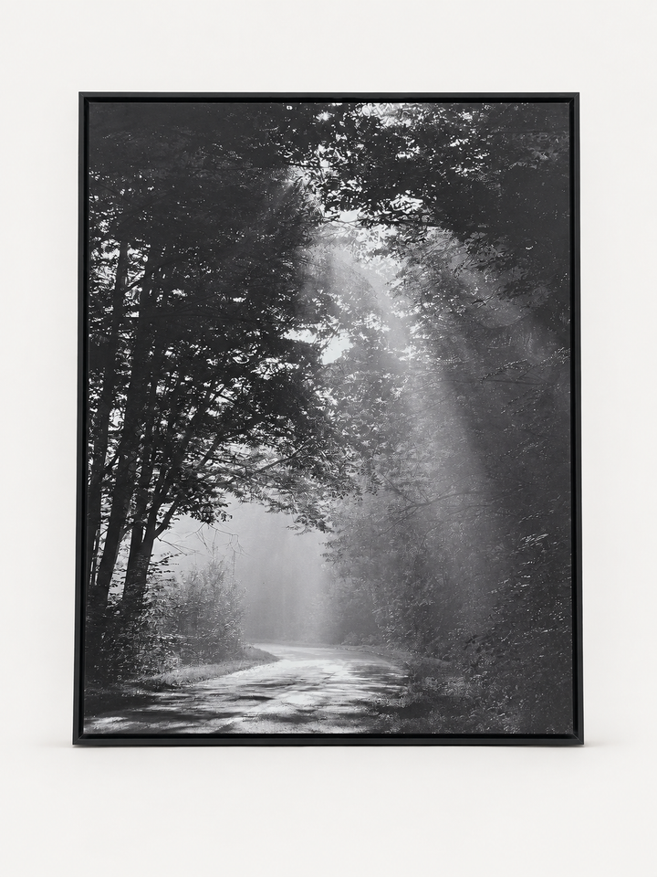 Sunbeam forest black and white photograph in a black frame
