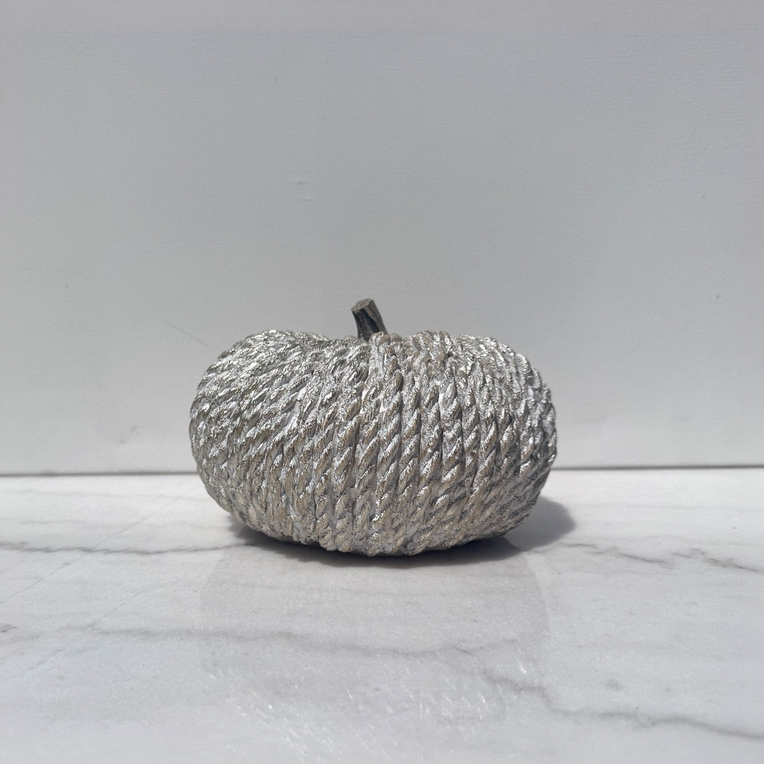 Silver Rope-Wrapped Pumpkin - square with extended background