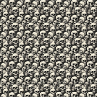 4" x 4" Pattern Acrylic And Crossbones | Create With 614