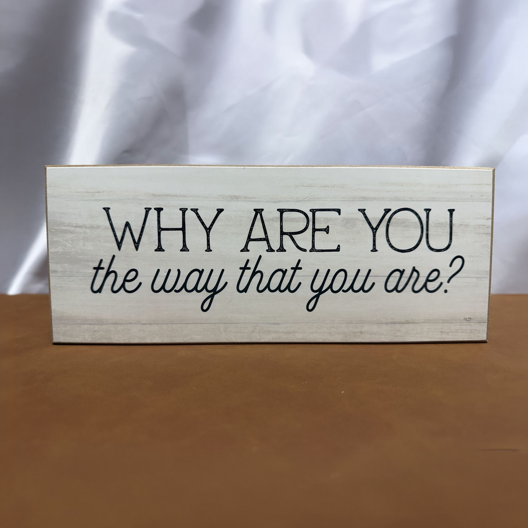 Why Are You the Way That You Are Shelf Sitter - square with extended background