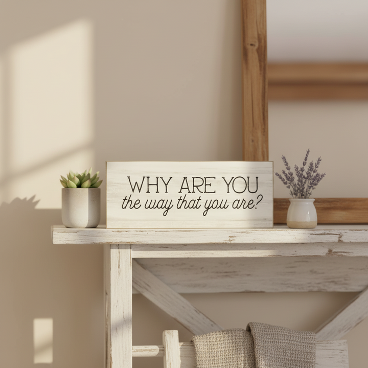 Why Are You the Way That You Are Shelf Sitter - square with extended background