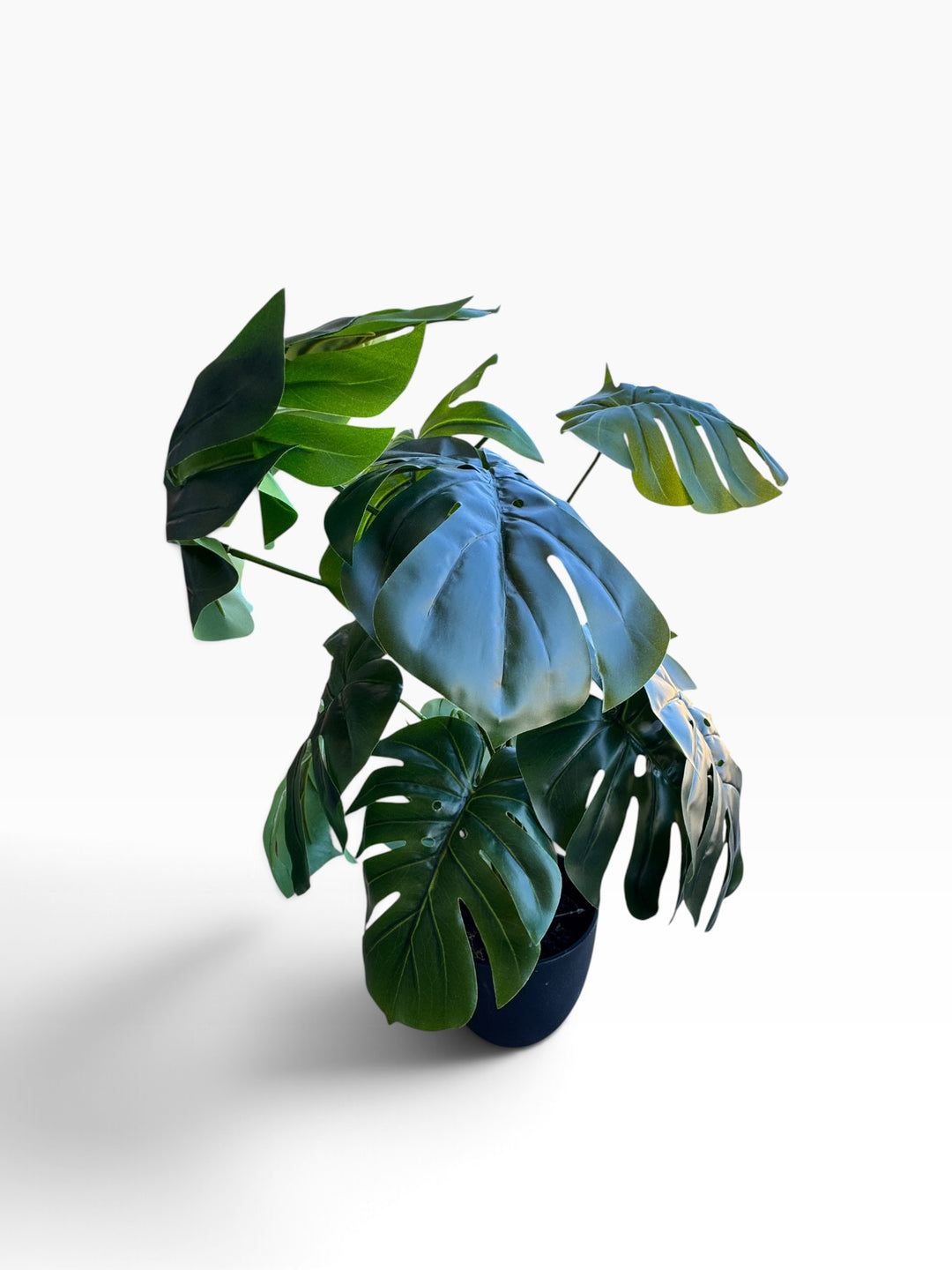 Lot 70 – Faux Monstera Plant in Black Planter, 2 ft