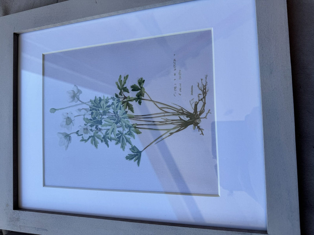 Lot 51 – Framed Botanical Prints, Light Gray Wood Frames, Set of 6