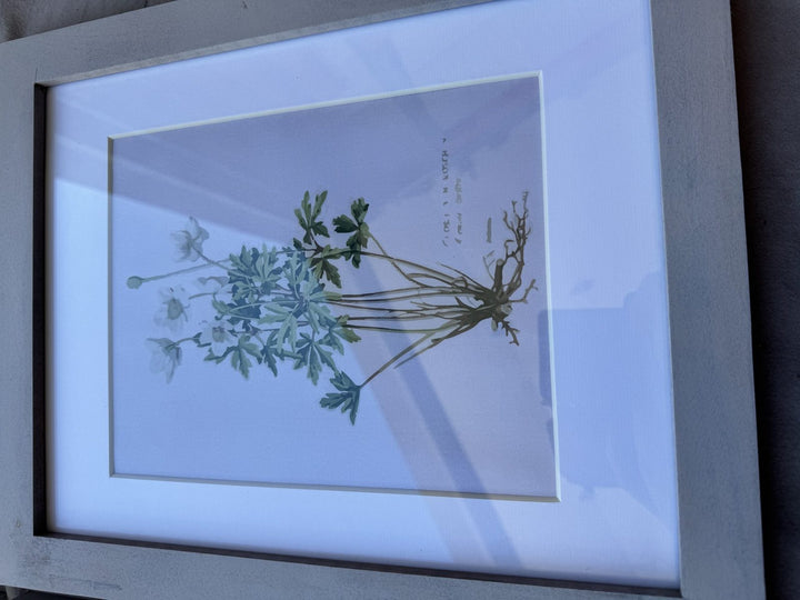 Lot 51 – Framed Botanical Prints, Light Gray Wood Frames, Set of 6