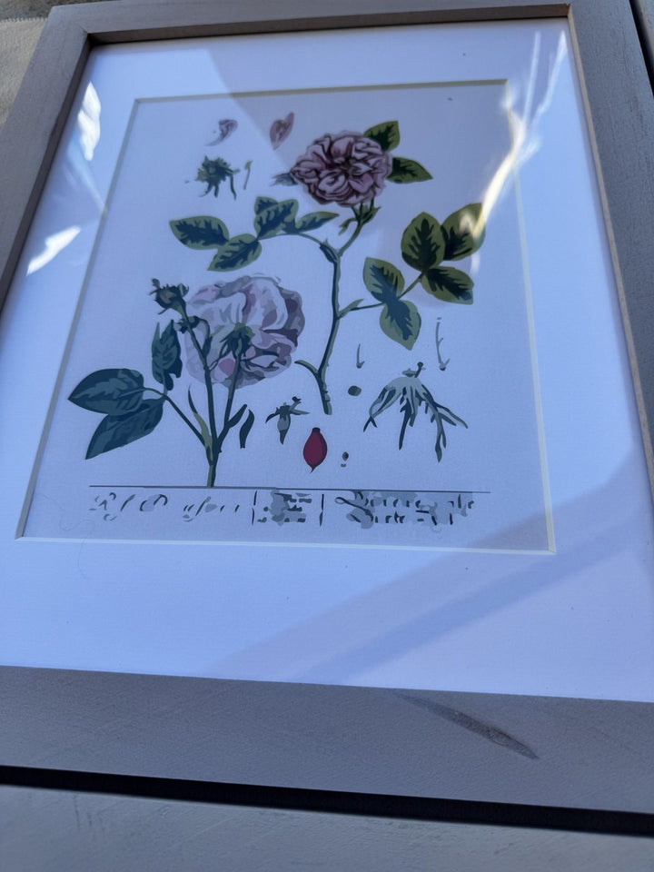 Lot 51 – Framed Botanical Prints, Light Gray Wood Frames, Set of 6