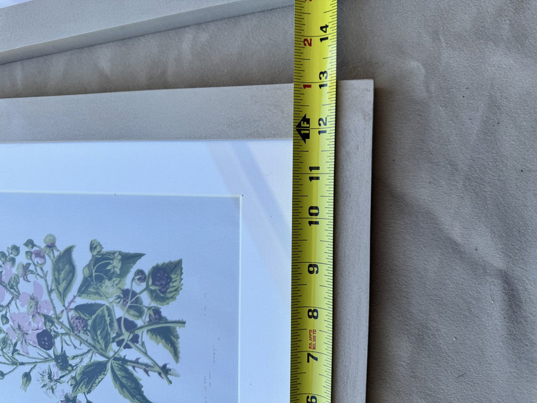 Lot 51 – Framed Botanical Prints, Light Gray Wood Frames, Set of 6