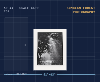 Sunbeam Forest Black & White Photography — Black Frame