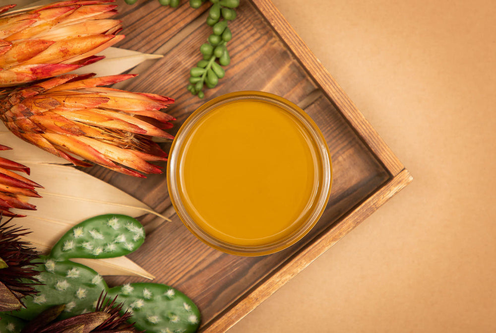 Top view of open Mojave Silk paint staged with a cactus and desert plants