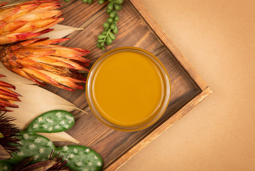 Top view of open Mojave Silk paint staged with a cactus and desert plants