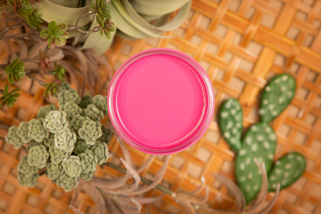 Open jar of Prickly Pear Silk paint staged with cactus and succulents