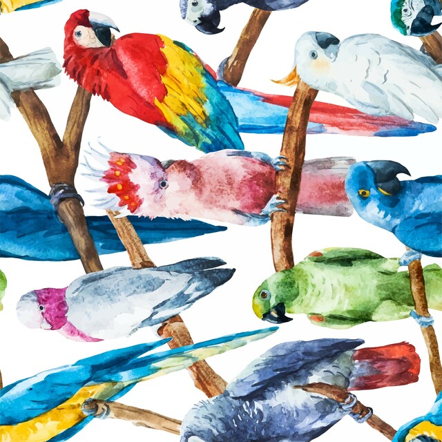 Dixie Belle Rice Decoupage Paper - Birds