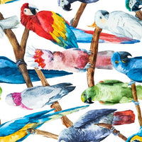 Dixie Belle Rice Decoupage Paper - Birds