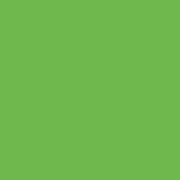Siser EasyWeed - Apple Green