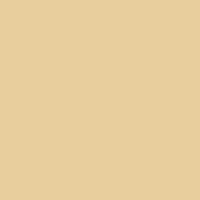 Siser EasyWeed - Cream