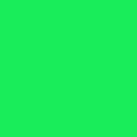 Siser EasyWeed - Fluorescent Green