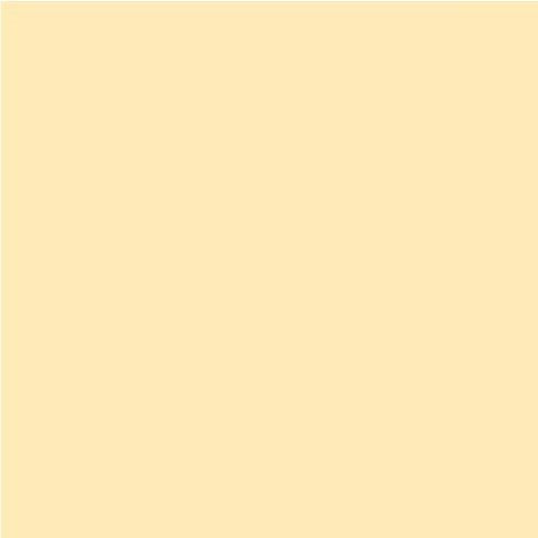Siser EasyWeed - Light Apricot
