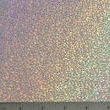 Starcraft Hoax Holographic